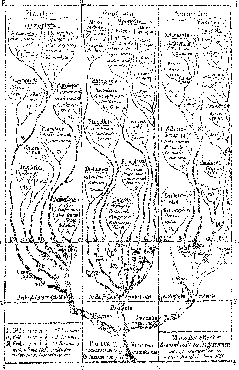 \epsfig {file=images/fighaeckel.eps,height=8.5cm}
