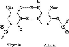 \begin{figure}
\begin{displaymath}
\beginpicture \scriptsize \unitlength0.35mm
\...
 ...\plot 64 68 81 68 /
\plot 78 44 95 44 /
\endpicture\end{displaymath}\end{figure}