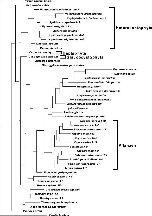 \begin{figure}
\centering

\epsfig {file=images/figactinfull.eps,height=18.5cm}
\end{figure}