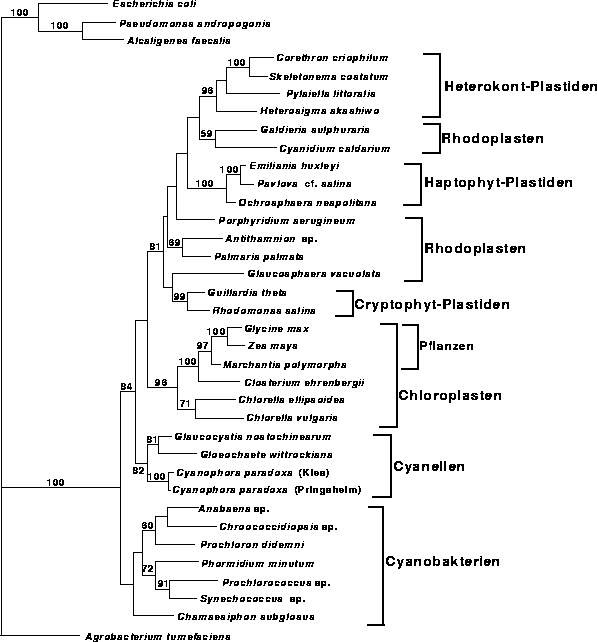 \begin{figure}
\centering

\epsfig {file=images/figpl1.eps,width=13.7cm}
\end{figure}