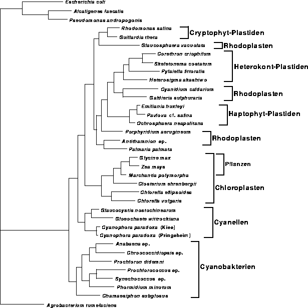 \begin{figure}
\centering

\epsfig {file=images/figpl1wei3.eps,width=13.7cm}
\end{figure}