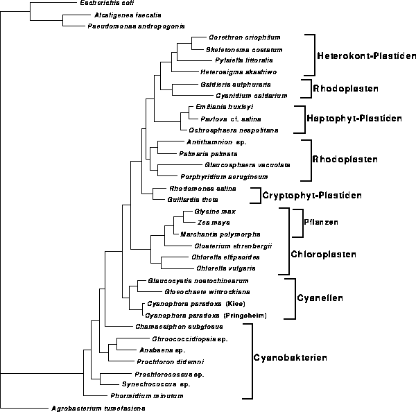 \begin{figure}
\centering

\epsfig {file=images/figpl1wei5.eps,width=13.7cm}
\end{figure}