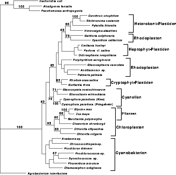 \begin{figure}
\centering

\epsfig {file=images/figpl1wei10.eps,width=13.7cm}
\end{figure}