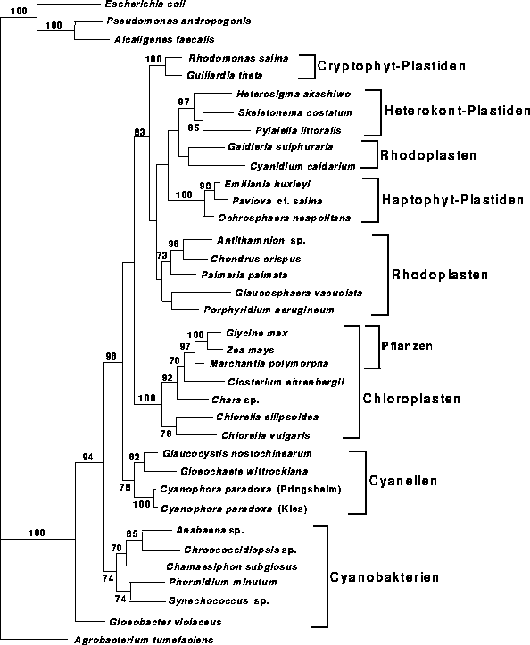 \begin{figure}
\centering
\epsfig {file=images/figpl2.eps,width=13.7cm}
\end{figure}