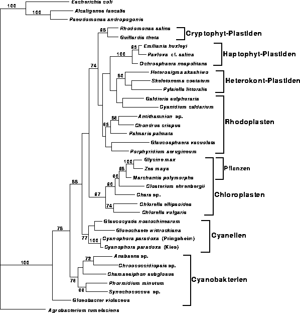 \begin{figure}
\centering

\epsfig {file=images/figpl2wei10.eps,width=13.7cm}
\end{figure}