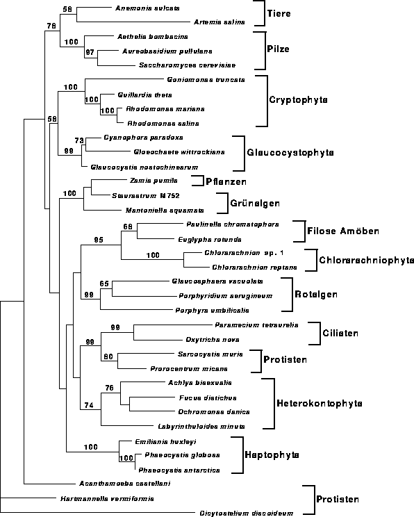 \begin{figure}
\centering

\epsfig {file=images/fignuc2.eps,width=13.7cm}
\end{figure}