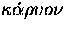 $\kappa\acute{\alpha}\rho\upsilon{o}\nu$