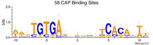 CAP Binding Site Logo